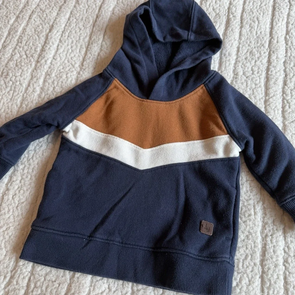 Janie and Jack Sweatshirt‎ Boys 3 To 6 Months Navy Color-block Hooded